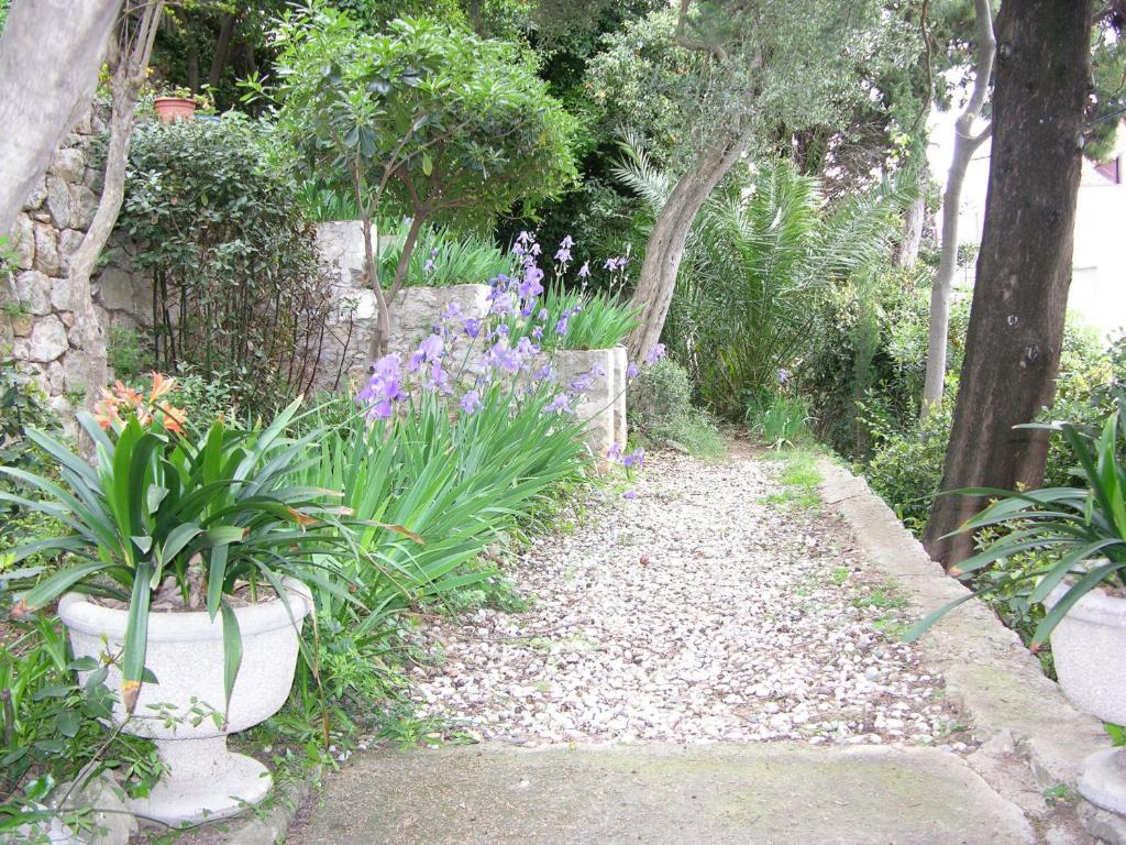 Villa Miomir Ragusa Esterno foto